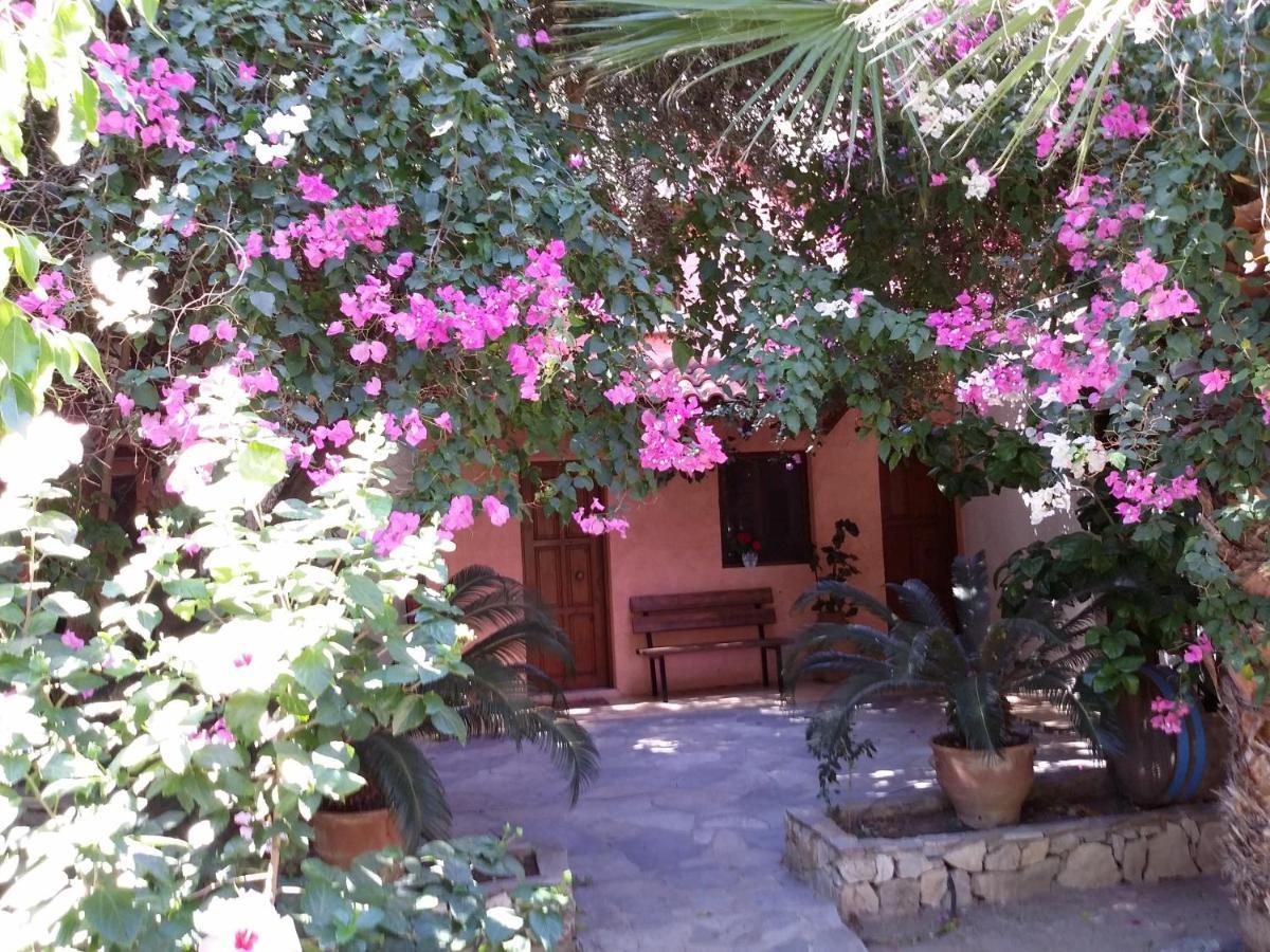 Olive Tree Cottages Palaiochora Bagian luar foto
