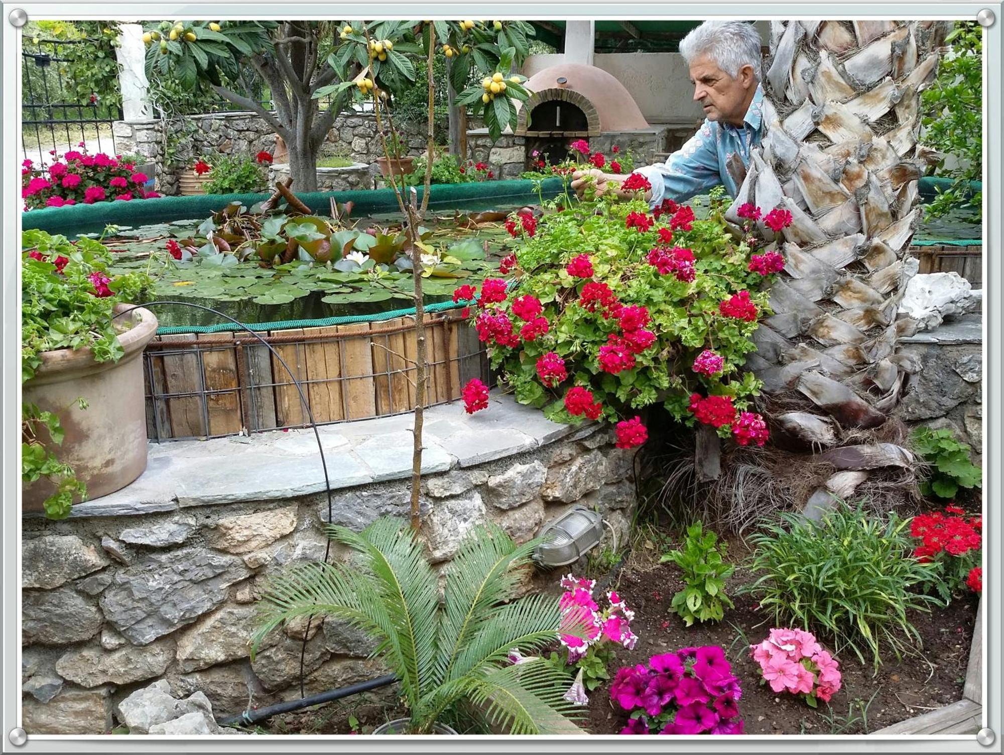 Olive Tree Cottages Palaiochora Bagian luar foto